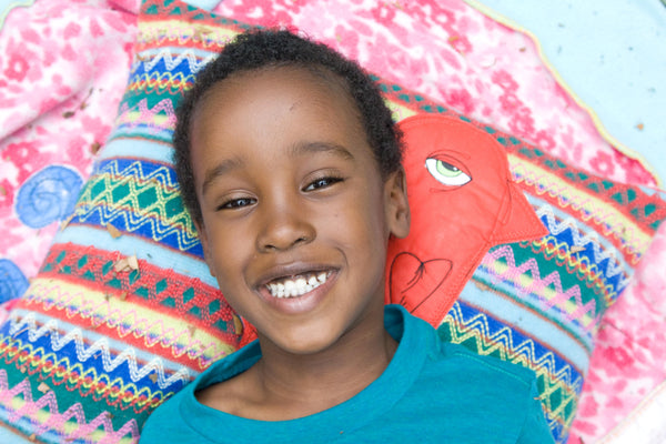 Tribal Red Appliqued Bird Pillow